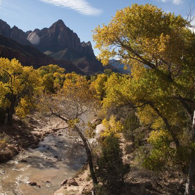 Cottonwoods 0703_0201